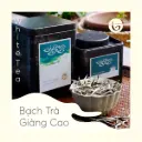 Bạch Trà Giàng Cao 